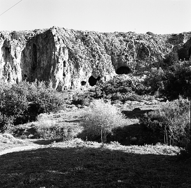 Mount Carmel ridge in northern Israel showing limestone cliffs and archaeological cave sites